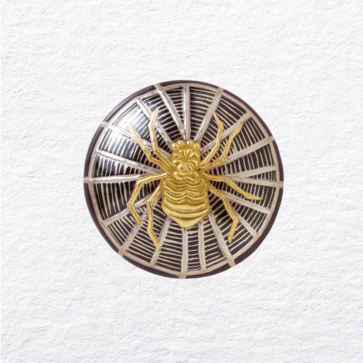 薩摩ボタン蜘蛛の絵 – 薩摩志史 Online Shop